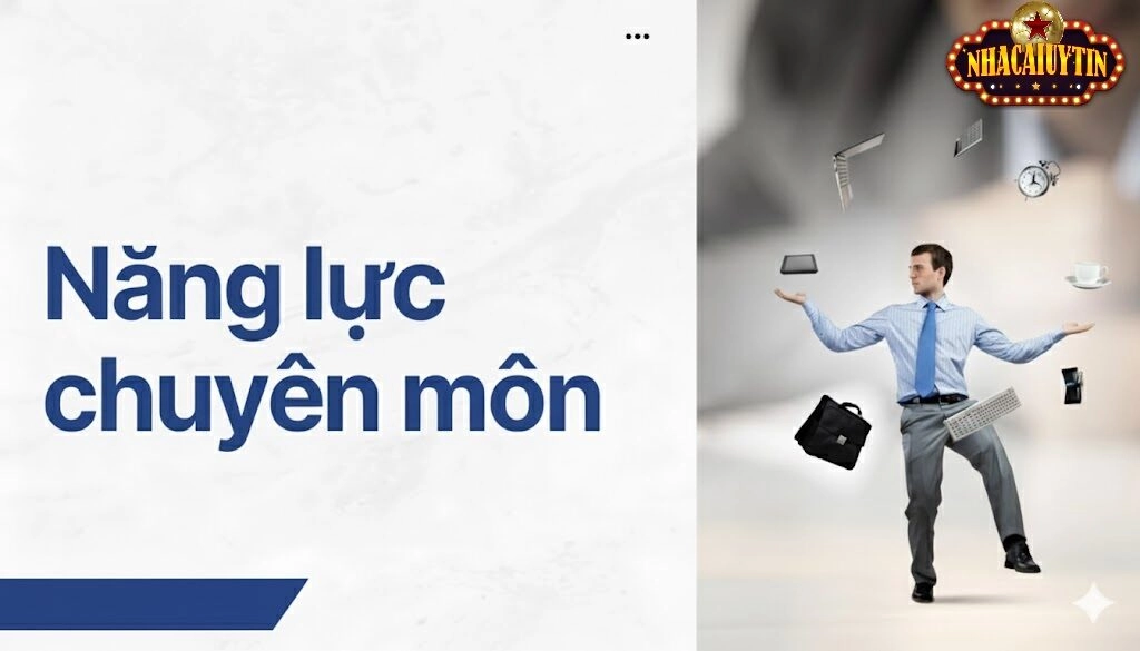 Kinh nghiệm sâu rộng trong lĩnh vực cá cược