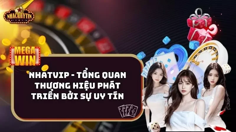 Nhatvip – Tổng Quan Thương Hiệu Phát Triển Bởi Sự Uy Tín