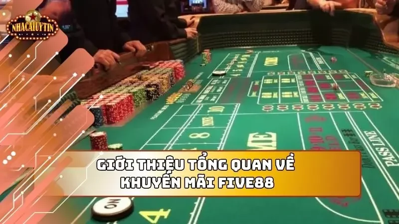 Cái nhìn sơ lược nhất về các thông tin chương trình